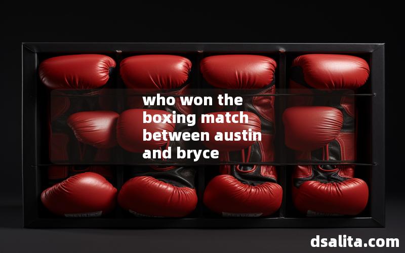 who won the boxing match between austin and bryce