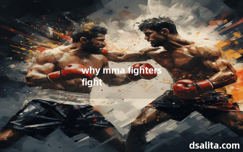why mma fighters fight