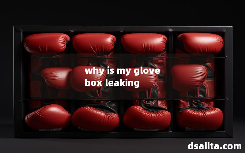 why is my glove box leaking