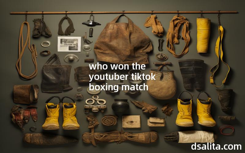 who won the youtuber tiktok boxing match