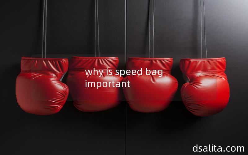 why is speed bag important