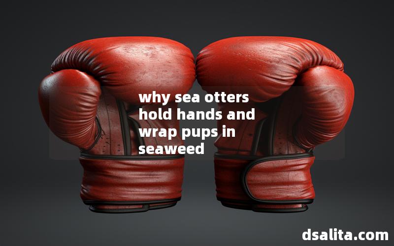 why sea otters hold hands and wrap pups in seaweed
