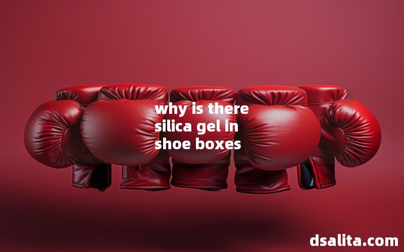 why is there silica gel in shoe boxes