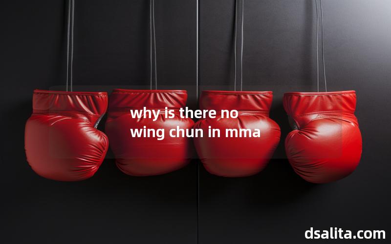 why is there no wing chun in mma