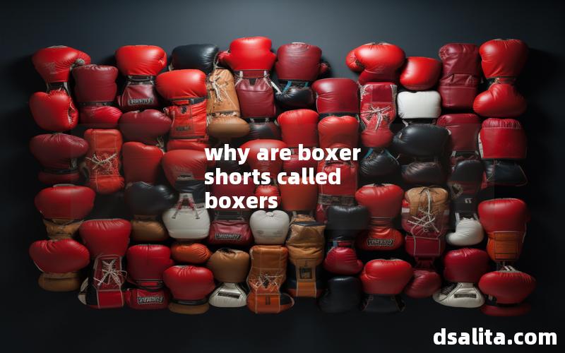 why are boxer shorts called boxers