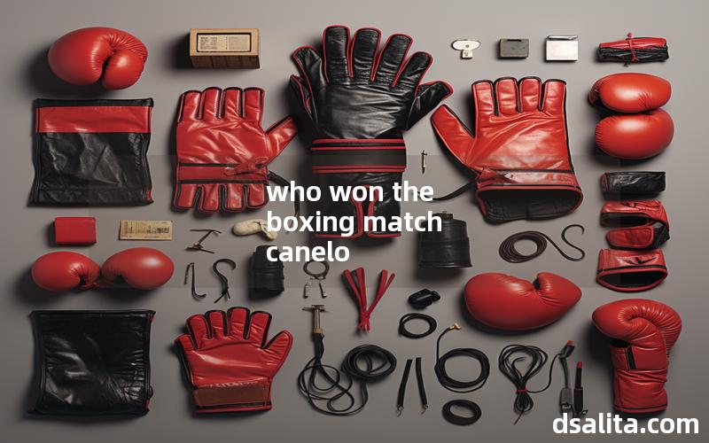 who won the boxing match canelo