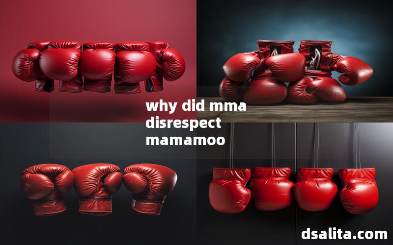 why did mma disrespect mamamoo