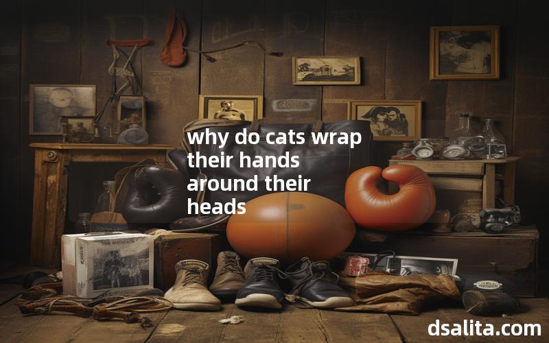 why do cats wrap their hands around their heads
