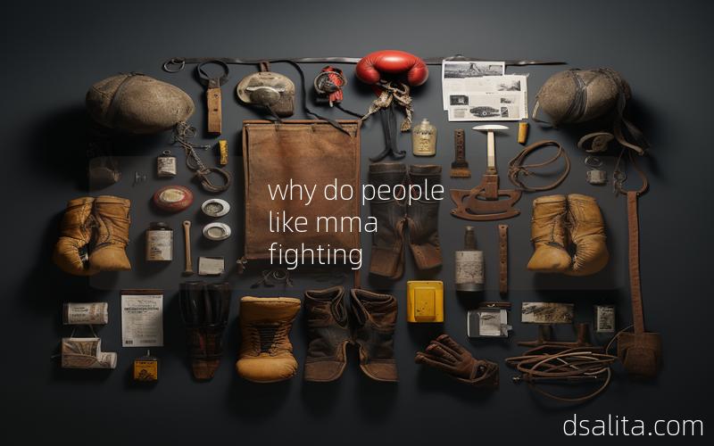 why do people like mma fighting