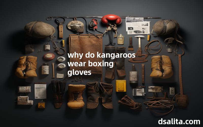 why do kangaroos wear boxing gloves