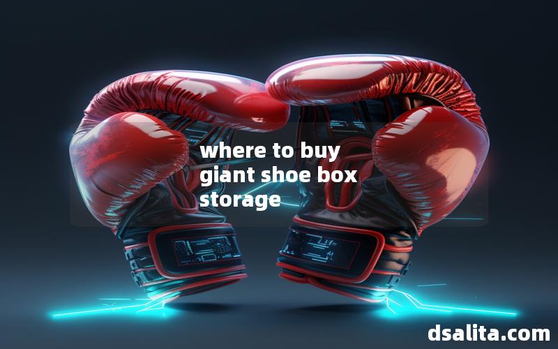 where to buy giant shoe box storage