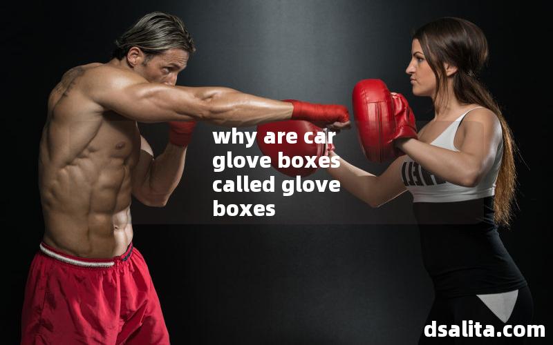 why are car glove boxes called glove boxes