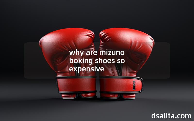 why are mizuno boxing shoes so expensive