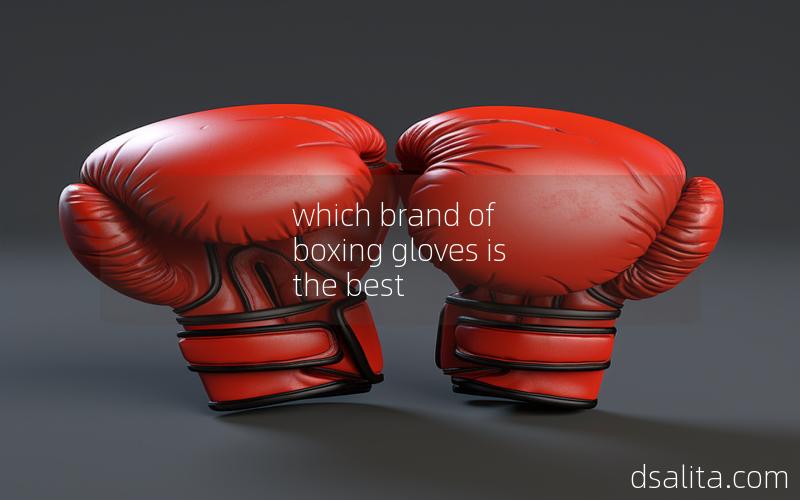 which brand of boxing gloves is the best