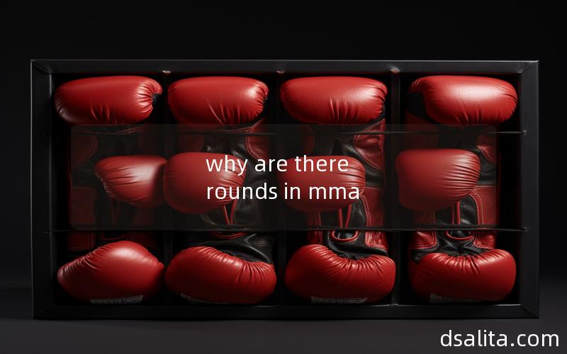 why are there rounds in mma
