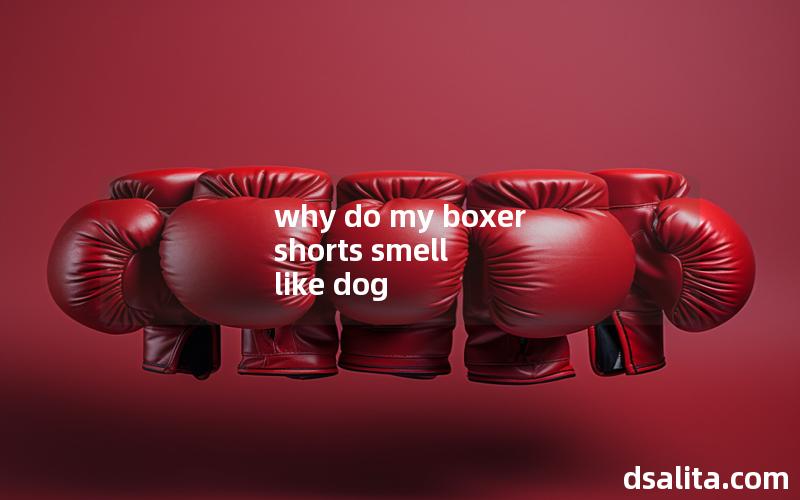 why do my boxer shorts smell like dog